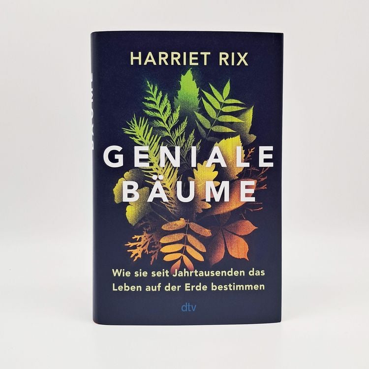 Produktbild: Geniale B&auml;ume
