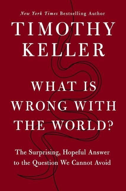 Produktbild: What Is Wrong with the World?