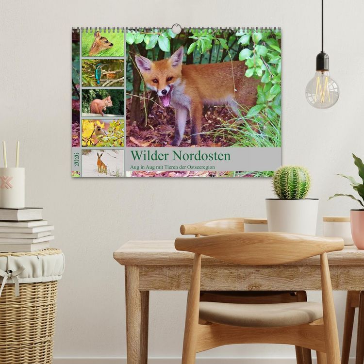 Produktbild: Wilder Nordosten - Aug in Aug mit Tieren der Ostseeregion (Wandkalender 2026 DIN A3 quer), CALVENDO Monatskalender