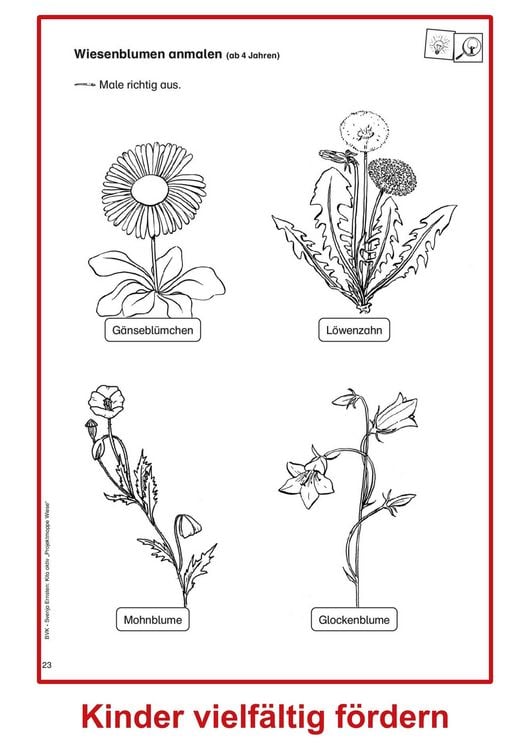 Produktbild: Kita aktiv Projektmappe Wiese