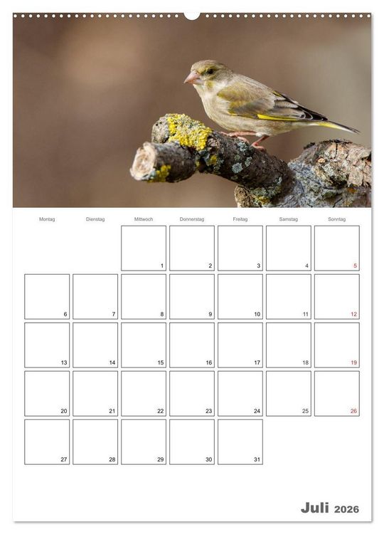 Produktbild: V&ouml;gel im heimischen Garten (hochwertiger Premium Wandkalender 2026 DIN A2 hoch), Kunstdruck in Hochglanz