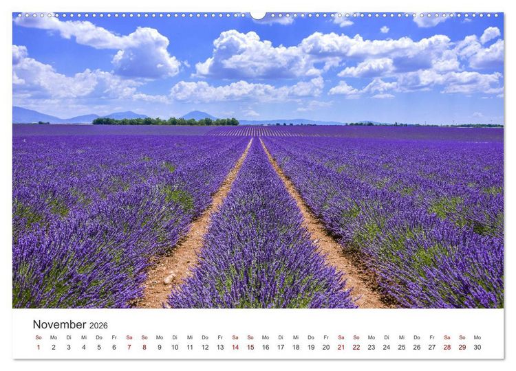 Produktbild: Tr&auml;ume aus Lavendel, Provence in Rosa bis Lila (hochwertiger Premium Wandkalender 2026 DIN A2 quer), Kunstdruck in Hochglanz