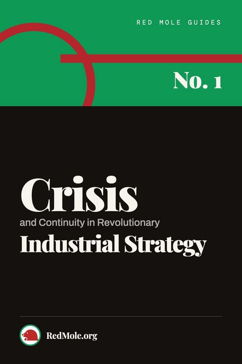 Produktbild: Crisis and Continuity in Revolutionary Industrial Strategy