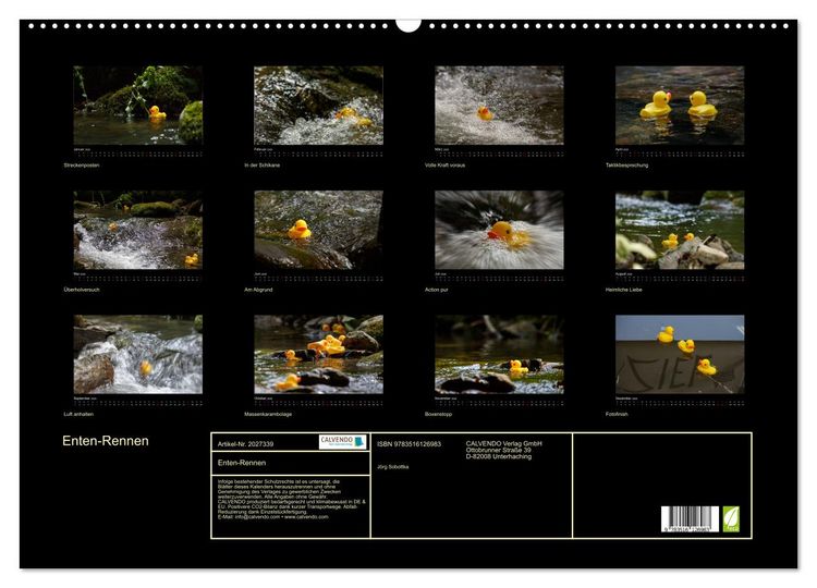 Produktbild: Enten-Rennen (Wandkalender 2026 DIN A2 quer), CALVENDO Monatskalender