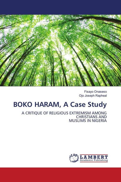 Produktbild: Boko Haram, a Case Study