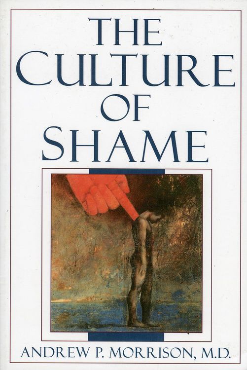 Produktbild: The Culture of Shame