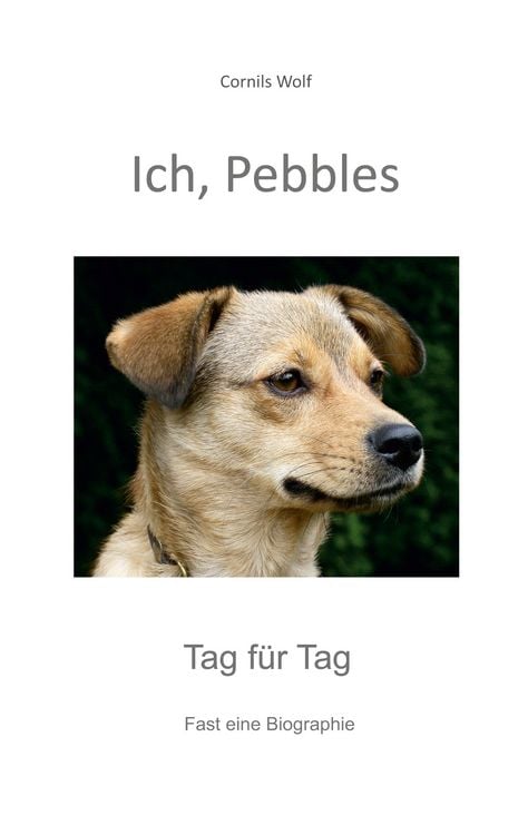Produktbild: Ich, Pebbles