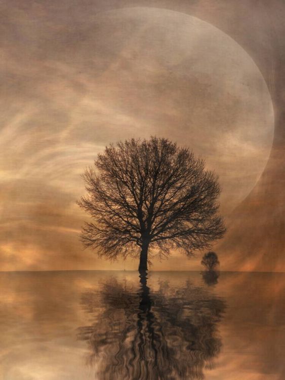 Produktbild: CALVENDO Puzzle Am Erdenrand | 1000 Teile Lege-Gr&ouml;&szlig;e 64x48cm Foto-Puzzle f&uuml;r gl&uuml;ckliche Stunden