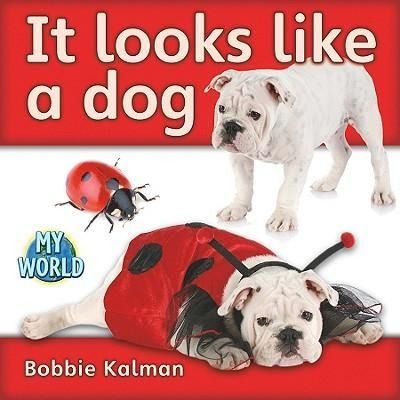 Produktbild: It Looks Like a Dog