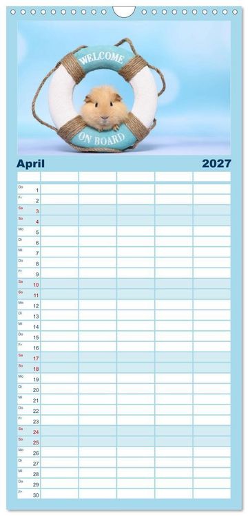 Produktbild: Familienplaner 2027 - Niedliche Meerschweinchen mit 5 Spalten (Wandkalender, 21 x 45 cm) CALVENDO