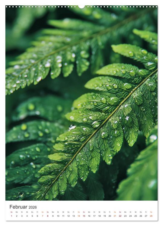 Produktbild: Seelenzeit Natur (hochwertiger Premium Wandkalender 2026 DIN A2 hoch), Kunstdruck in Hochglanz