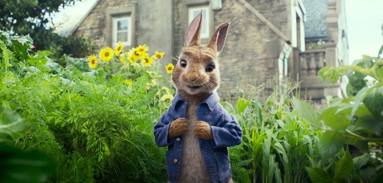 Produktbild: Peter Hase