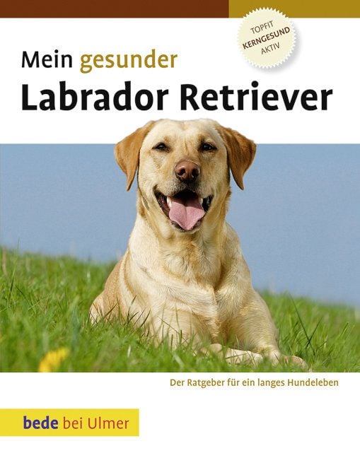 Produktbild: Mein gesunder Labrador Retriever