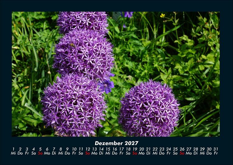 Produktbild: Blumenkalender 2027 Fotokalender DIN A4