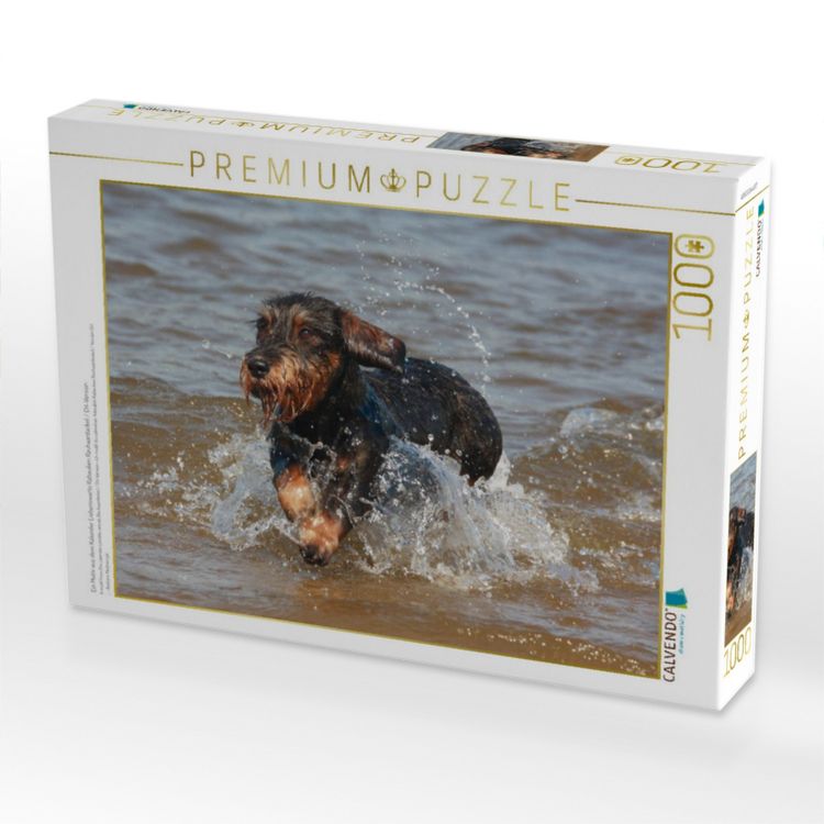 Produktbild: CALVENDO Puzzle Ein Motiv aus dem Kalender Liebenswerte Rabauken Rauhaardackel / CH-Version | 1000 Teile Lege-Gr&ouml;&szlig;e 64x48cm Foto-Puzzle f&uuml;r gl&uuml;ckliche Stunden