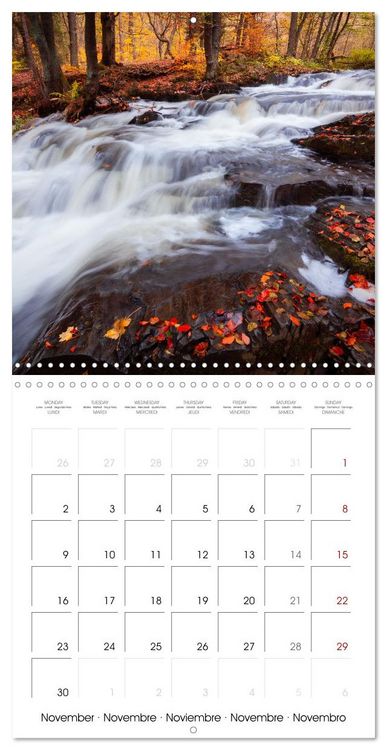 Produktbild: This is Germany (Wall Calendar 2026 12 &times; 12 Inch) CALVENDO 12 Month Wall Calendar