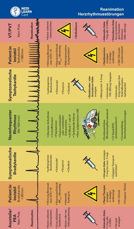 Produktbild: MEDI-LEARN Card: Herzrhythmusst&ouml;rungen und Reanimation