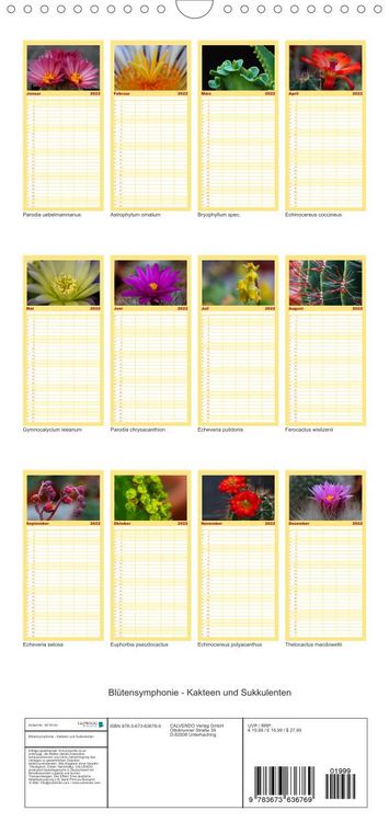 Produktbild: Bl&uuml;tensymphonie - Kakteen und Sukkulenten - Familienplaner hoch (Wandkalender 2022 , 21 cm x 45 cm, hoch)