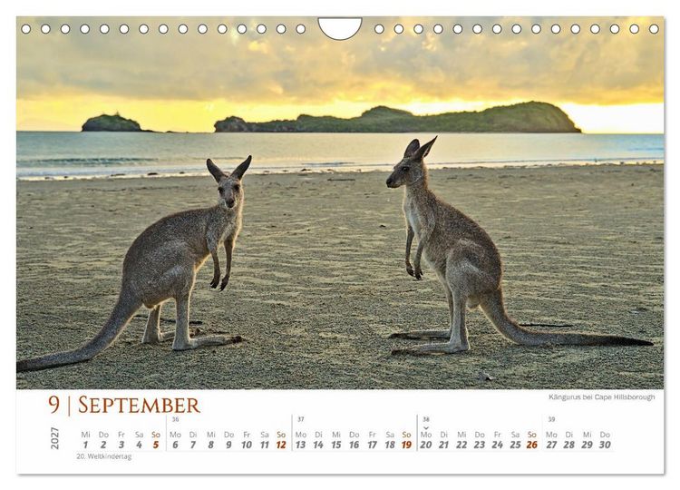 Produktbild: Australien - Cairns-Brisbane (Wandkalender 2027 DIN A4 quer), CALVENDO Monatskalender