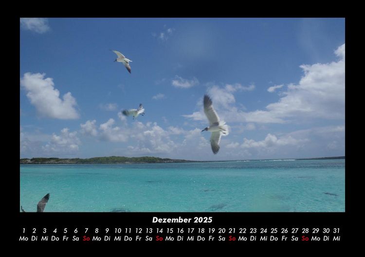 Produktbild: Trauminseln 2025 Fotokalender DIN A3