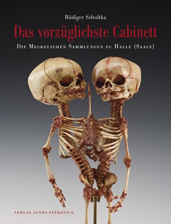 Produktbild: Das vorz&uuml;glichste Cabinett - Die Meckelschen Sammlungen zu Halle (Saale)