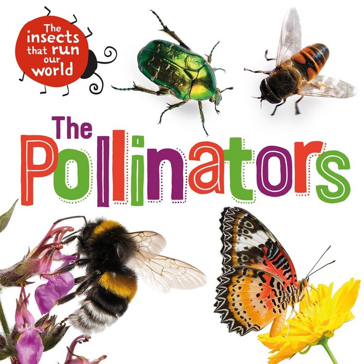 Produktbild: Ridley, S: Insects that Run Our World: The Pollinators