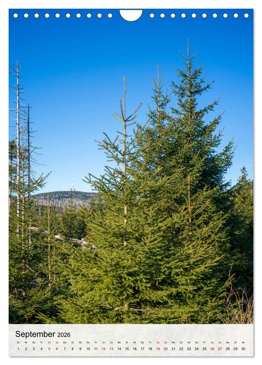 Produktbild: Harzer Landschaften - 12 Monate im Naturparadies Harz (Wandkalender 2026 DIN A4 hoch), CALVENDO Monatskalender