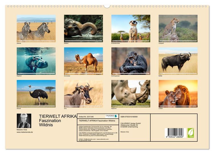 Produktbild: TIERWELT AFRIKA Faszination Wildnis (hochwertiger Premium Wandkalender 2026 DIN A2 quer), Kunstdruck in Hochglanz