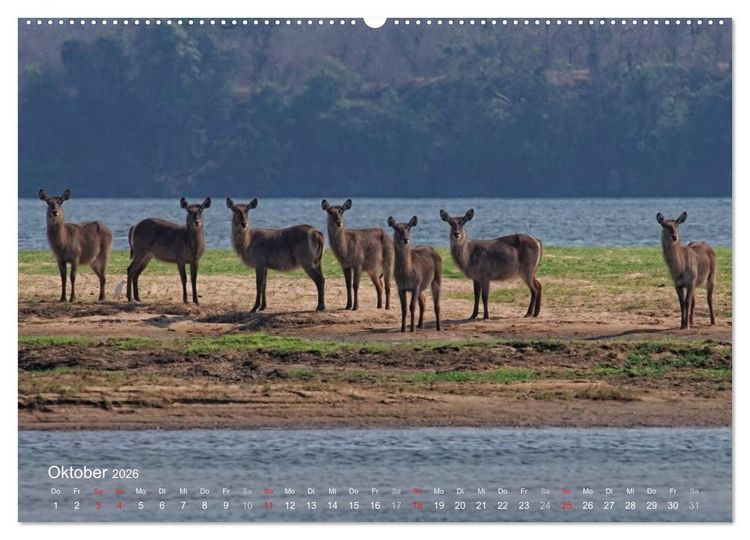 Produktbild: Zimbabwe (Wandkalender 2026 DIN A2 quer), CALVENDO Monatskalender