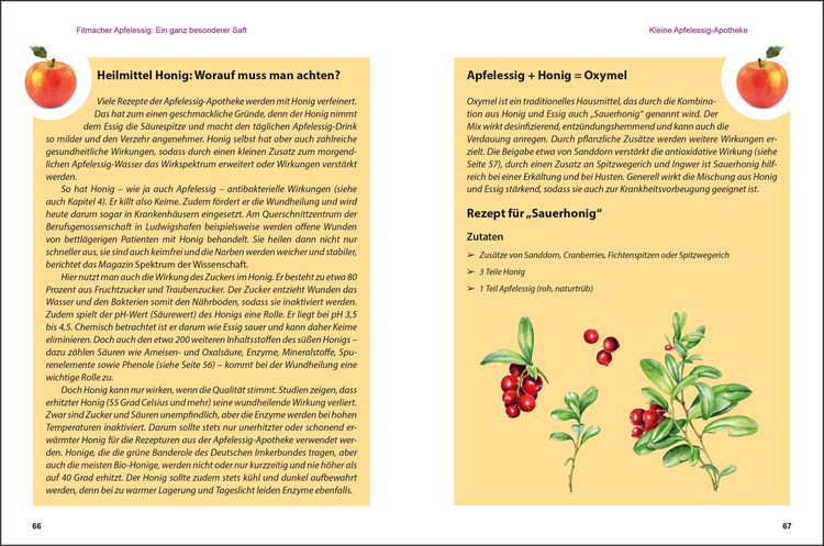 Produktbild: Apfelessig neu entdeckt - Der Alleskönner und seine unbegrenzten Verwendungsmöglichkeiten. Küchenwunder, Beauty-Mittel, Gesundheits-Elixier
