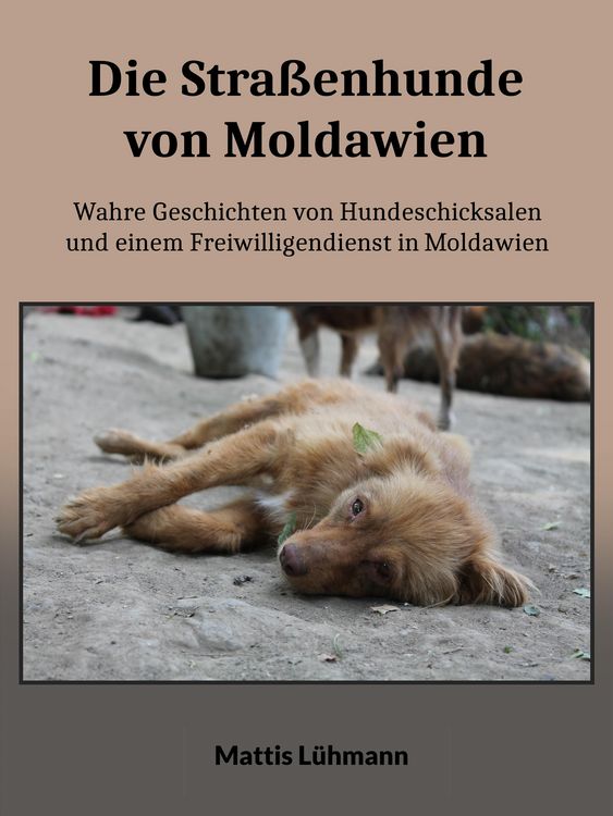 Produktbild: Die Stra&szlig;enhunde von Moldawien