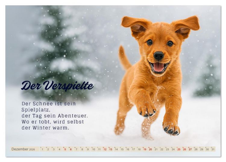 Produktbild: Hunde mit Charakter (Wandkalender 2026 DIN A4 quer), CALVENDO Monatskalender