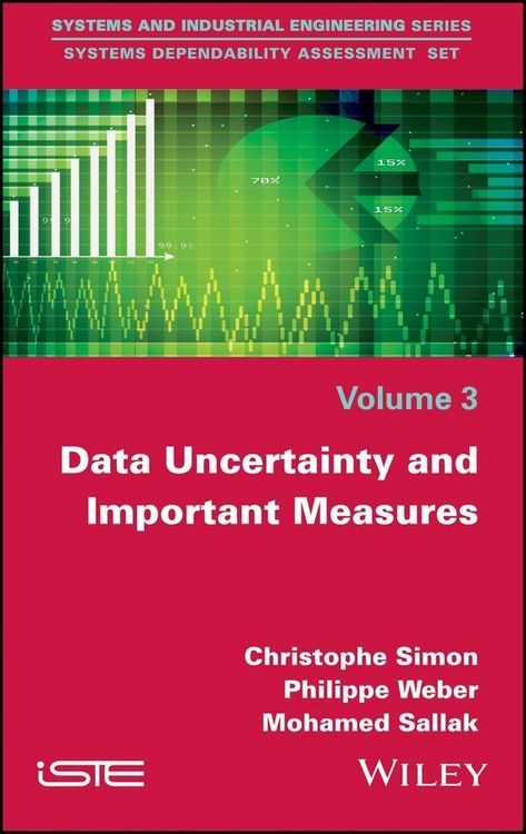 Produktbild: Data Uncertainty and Important Measures