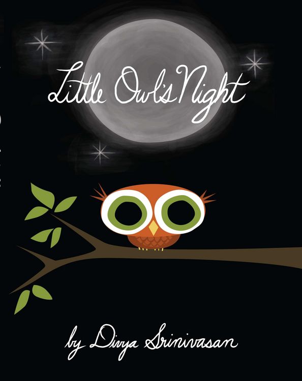 Produktbild: Little Owl's Night