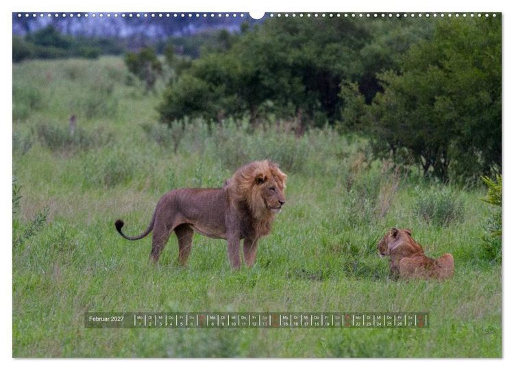 Produktbild: Abenteuer Botswana Afrika - Adventure Botswana (hochwertiger Premium Wandkalender 2027 DIN A2 quer), Kunstdruck in Hochglanz