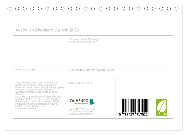 Produktbild: Australian Shepherd Welpen 2026 (Tischkalender 2026 DIN A5 quer), CALVENDO Monatskalender