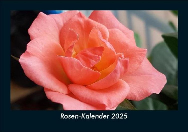 Produktbild: Rosen-Kalender 2025 Fotokalender DIN A5