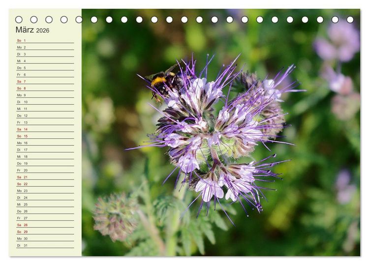 Produktbild: L&auml;ndliche Idylle zwischen Erzgebirge und Muldental (Tischkalender 2026 DIN A5 quer), CALVENDO Monatskalender