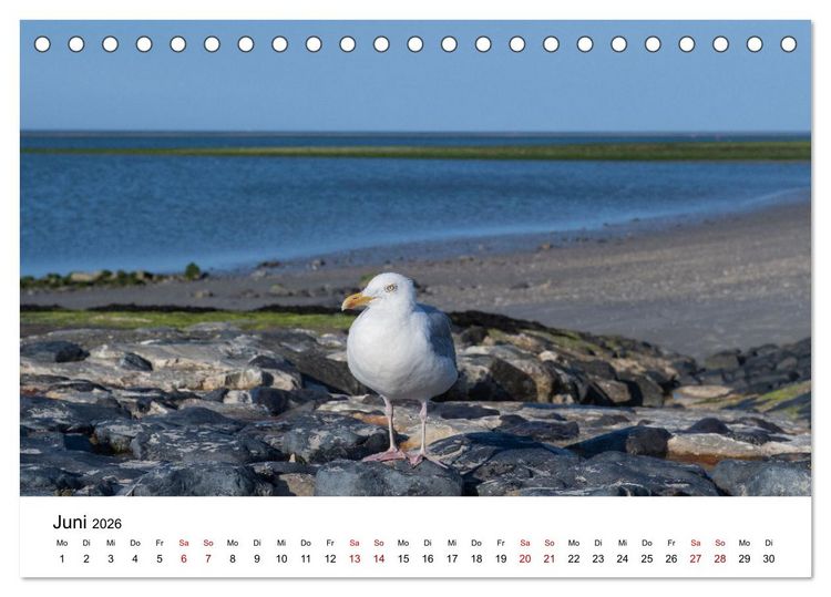 Produktbild: Ostfriesland - Ein Jahr in Bildern (Tischkalender 2026 DIN A5 quer), CALVENDO Monatskalender