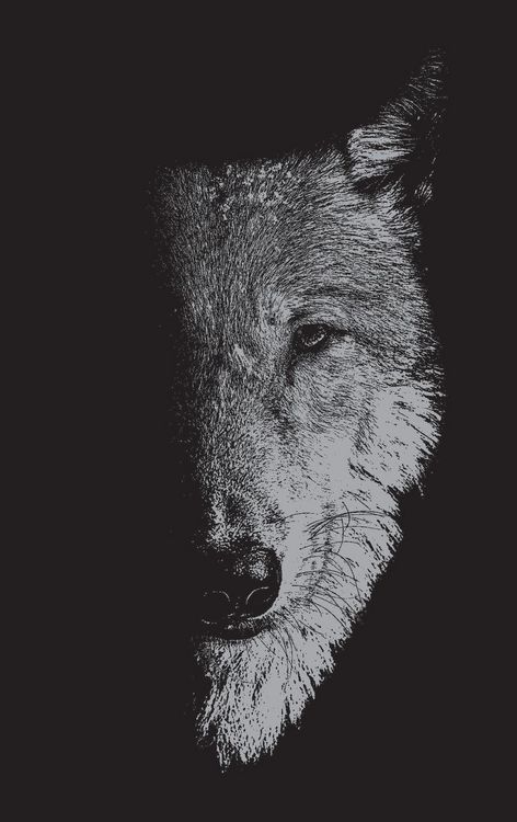 Produktbild: In the company of wolves