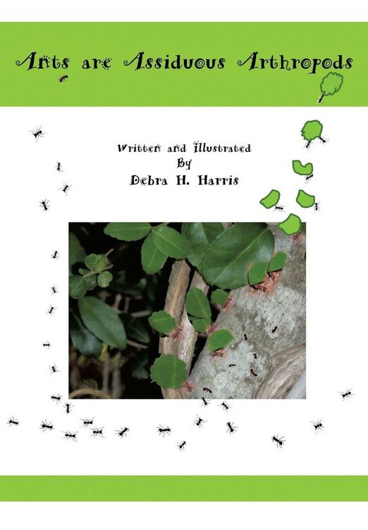 Produktbild: Ants are Assiduous Arthropods