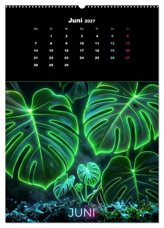 Produktbild: Neon Botanicals - Flora im Lichtrausch (hochwertiger Premium Wandkalender 2027 DIN A2 hoch), Kunstdruck in Hochglanz