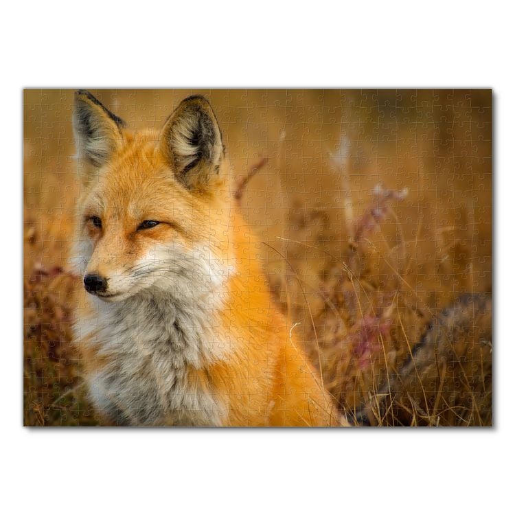 Produktbild: Lais Puzzle Fuchs 500 Teile