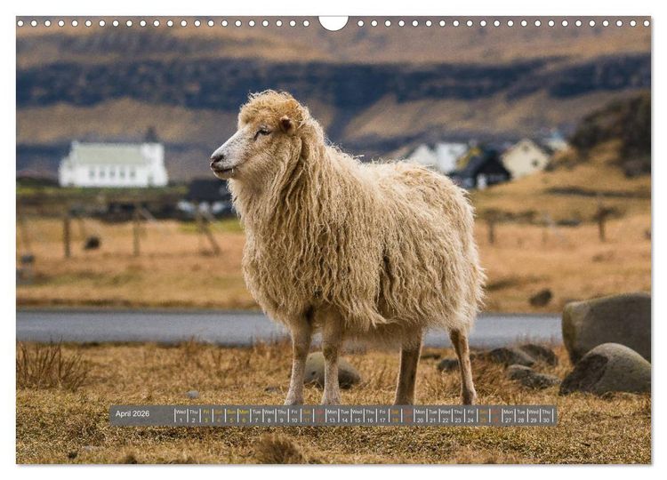 Produktbild: Spectacular beauty - Faroe Islands (Wall Calendar 2026 DIN A3 landscape), CALVENDO 12 Month Wall Calendar
