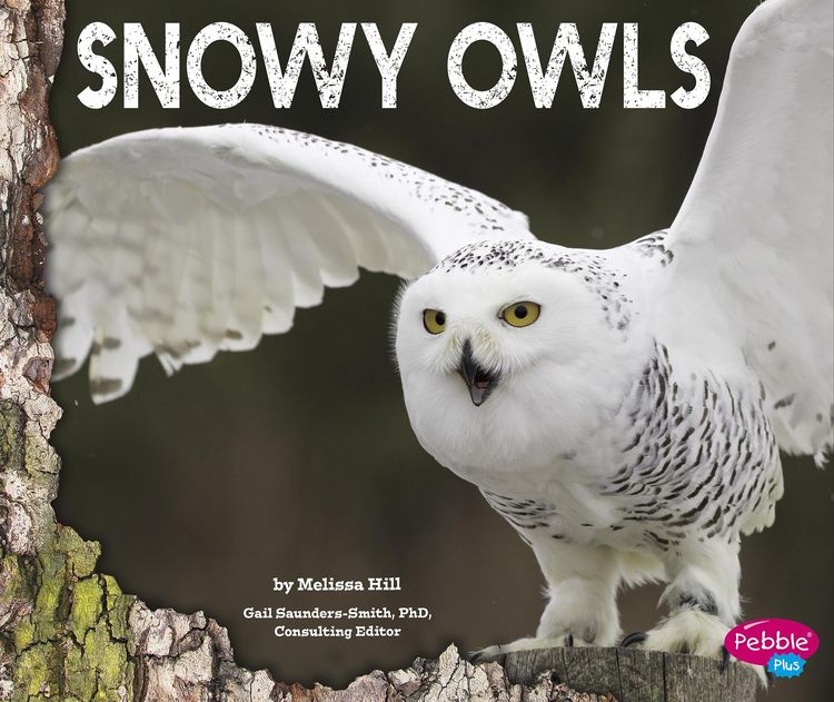 Produktbild: Snowy Owls