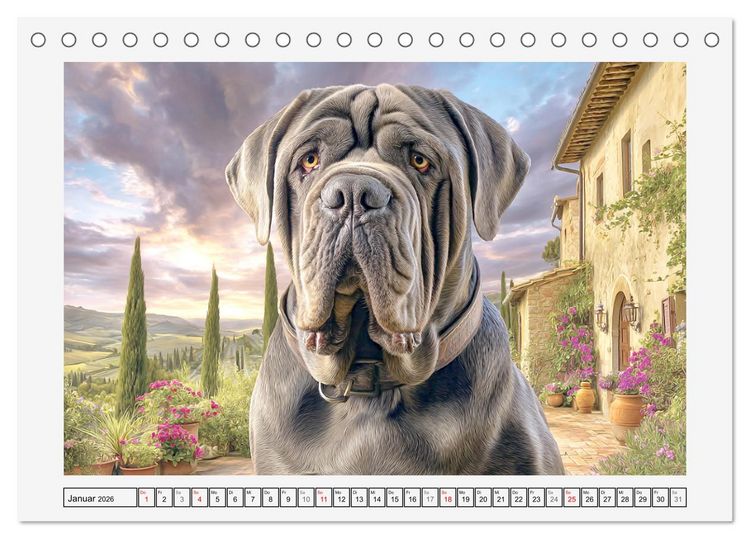 Produktbild: Mastino Napoletano. Die gelassenen Molosser mit antiken Vorfahren (Tischkalender 2026 DIN A5 quer), CALVENDO Monatskalender