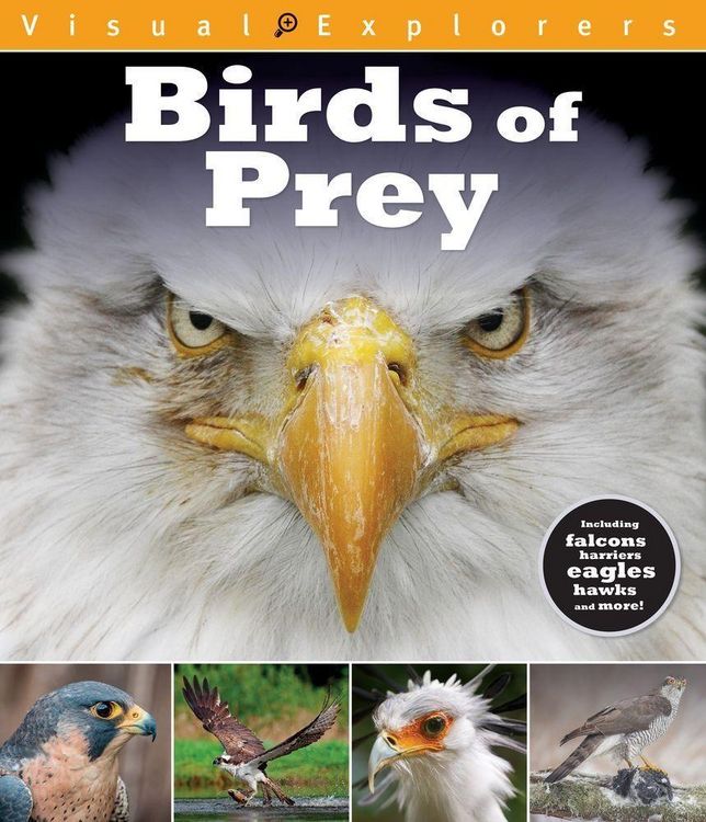 Produktbild: Birds Of Prey