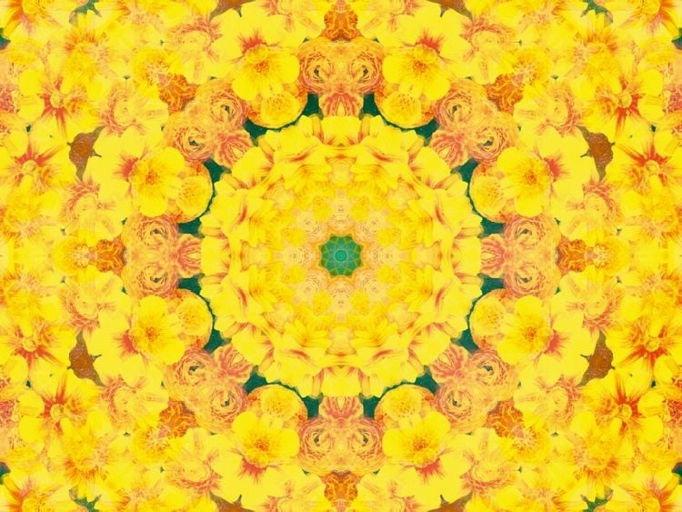 Produktbild: CALVENDO Puzzle Gelbe Energie | 1000 Teile Lege-Gr&ouml;&szlig;e 64x48cm Foto-Puzzle f&uuml;r gl&uuml;ckliche Stunden