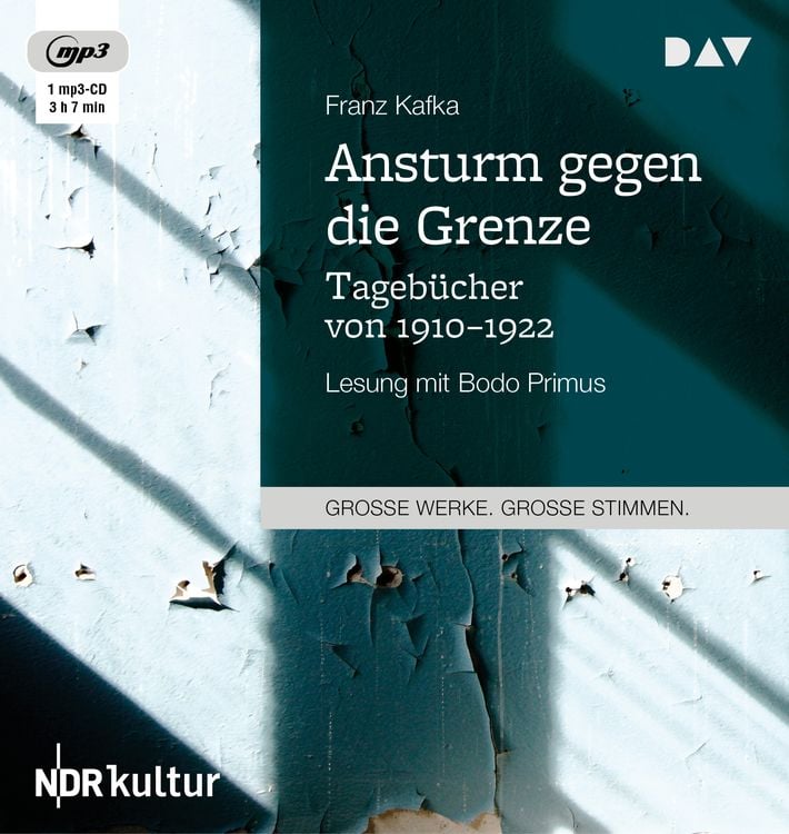 Produktbild: Ansturm gegen die Grenze. Tagebücher von 1910–1922