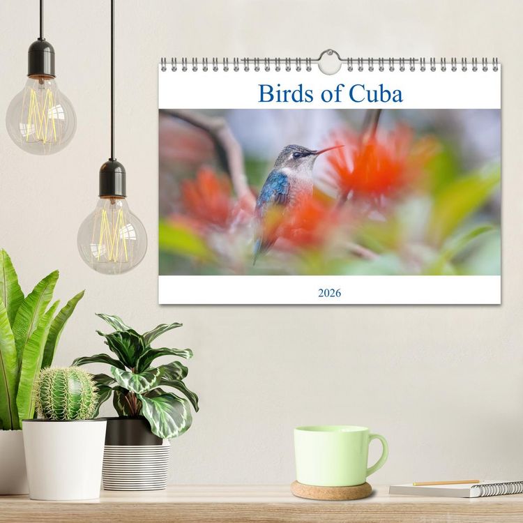 Produktbild: Birds of Cuba Island (Wall Calendar 2026 DIN A4 landscape), CALVENDO 12 Month Wall Calendar